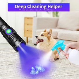DARKBEAM 365nm UV Flashlight Rechargeable Black Light - Powerful LED Mini Ultraviolet Flashlights, Portable USB-C Woods Lamp - for Pet Urine Detection, Resin Curing, Stains, Minerals, Money