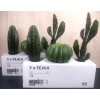 IKEA 2 Sets Ikea Fejka Miniature Artificial Cactus Plants x