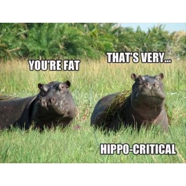 Funny hippopotamus refrigerator magnet 3 1/2 x 4 1/2"