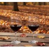 Ravenscroft Crystal Vintner's Choice Burgundy Pinot Noir Stemware, Set of