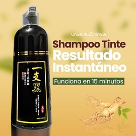 Shampoo Tinte Instantaneo Para Cabello Cubre Canas Natural Jengibre 500Ml - Champú Instant Hair Color Para Teñir El Cabello 3 En 1 Coloración Al Insta
