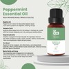 Peppermint Essential Oil by Organic Alley | 100% Pure Therapeutic-Grade