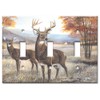 Art Plates - White Tail Deer Switch Plate - Triple