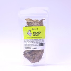 Duck Flower Detox | 2 Whole Dried Blossoms | Aristolochia grandiflora plant | Wildharvested Herb of Jamaica