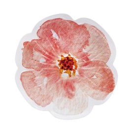 TP 16" Large Serving Tray Set, Melamine Serving Platters for Fruit, Cookies, Dessert, Snacks, Decorative Trays for Kitchen, Parties, and Entertaining, Set of 2, Pink