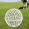 Chicken Cage Ball | Rollable Round Chicken Cage | Round