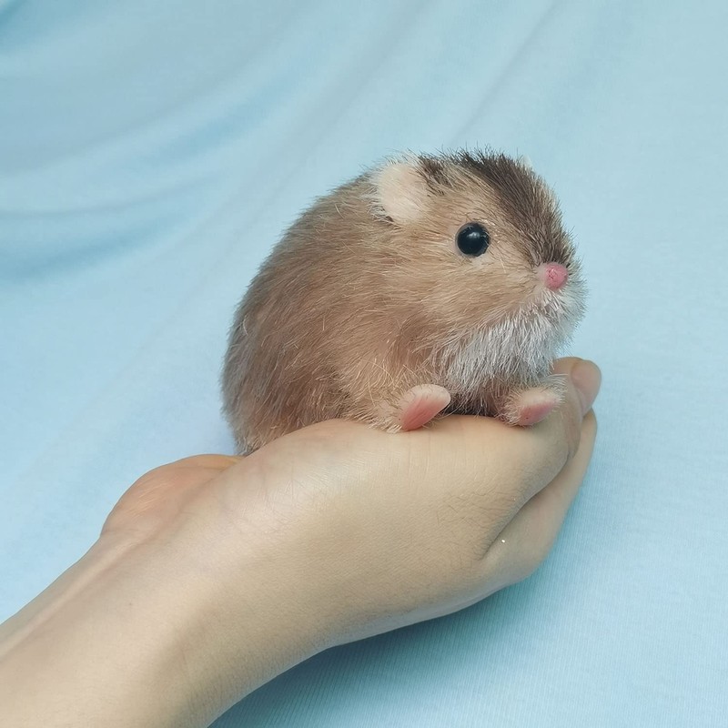 AVANI DOLL 4'' Full Body Silicone Cute Mini Hamster (Brown