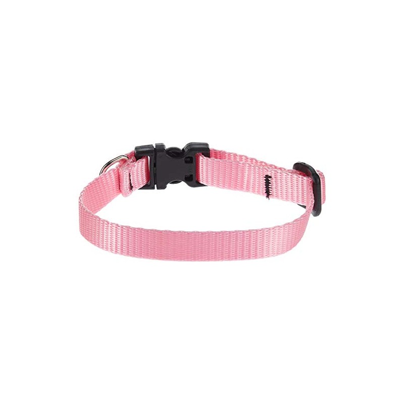 LupinePet Basics 1/2" Pink Adjustable Dog Collar 8-12" for Small
