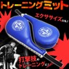 UP STORE Hand Mitts Set of 2 Kick Mitts Punching