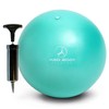 Mini Exercise Ball with Pump - 9 inch Small Bender