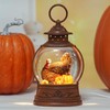 Fall Decorations for Home Fall Snow Globe with Turkey Pumpkin