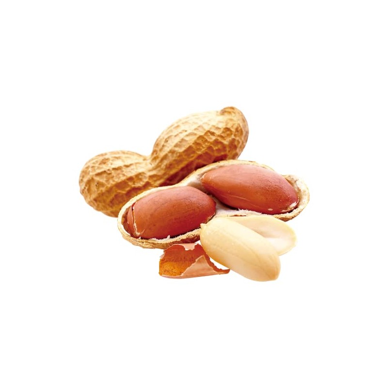 Refined Peanut Oil 16.9 fl oz (500 ml)