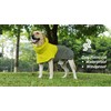 RS Dog Raincoat, All-Weather Jacket, Waterproof, Windproof & Lightweight, Teflon™