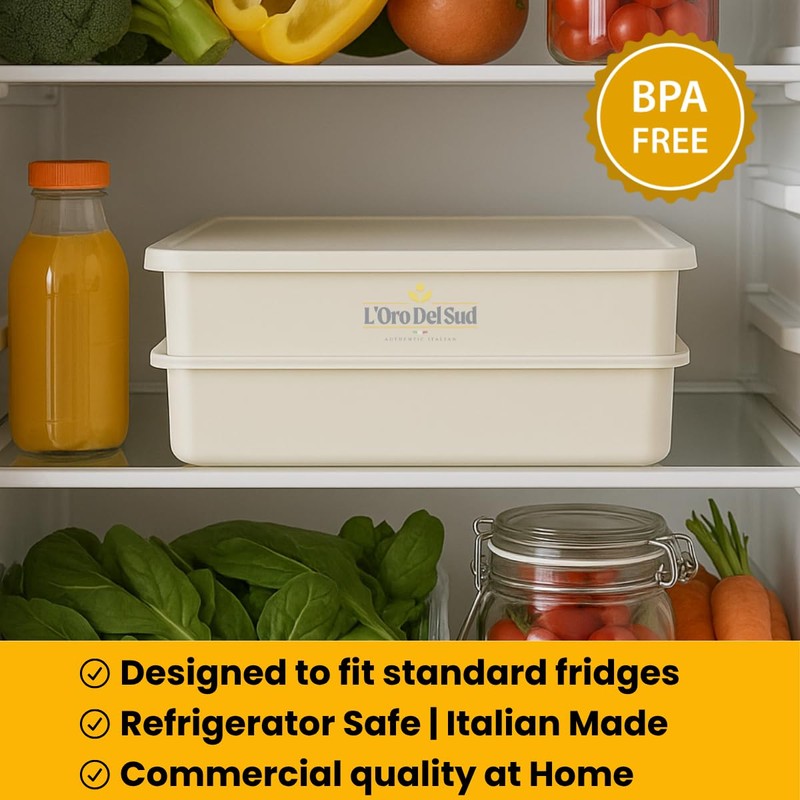 L'Oro Del Sud Home Refrigerator Size, Dough Proofing Box Tray