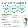 [Increases Fluorine Concentration!] Weltech Competition Gel Coat F, Peppermint 3.2