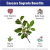 Aminolab - Cascara Sagrada 1000mg 365 Capsules