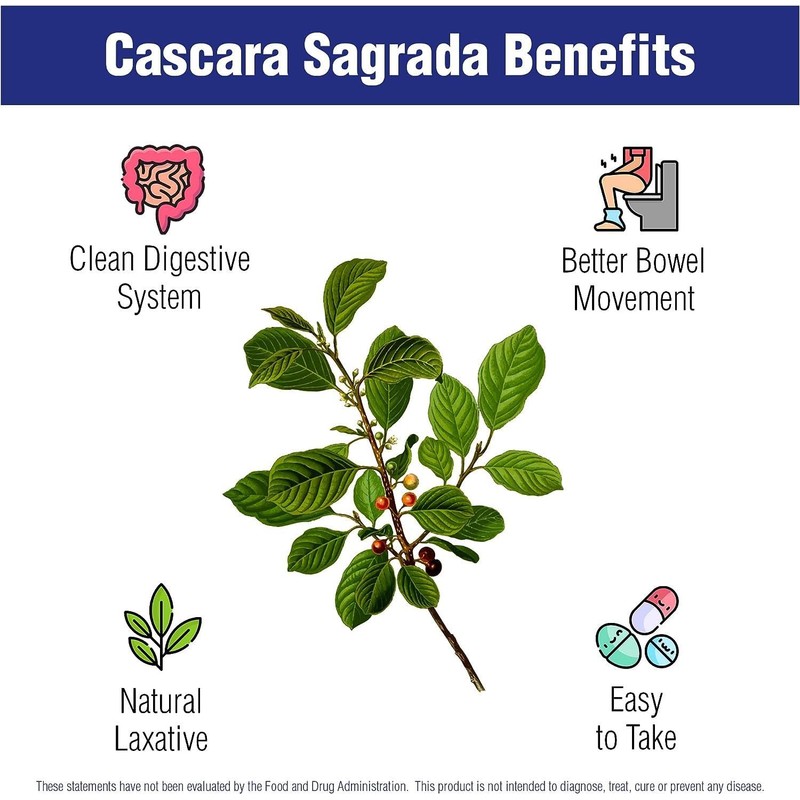 Aminolab - Cascara Sagrada 1000mg 365 Capsules