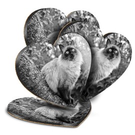 Destination Vinyl ltd Great Coasters (Set of 4) Heart - BW - Balinese Cat in Tree Eyes Drink Glossy Coasters/Tabletop Protection for Any Table Type #36729