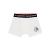 SALT AND PEPPER Boys' Boxer Shorts (Pack of 3), multi-coloured