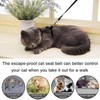 Widream 2 x Cat Harness with Lead and Collars, Escape