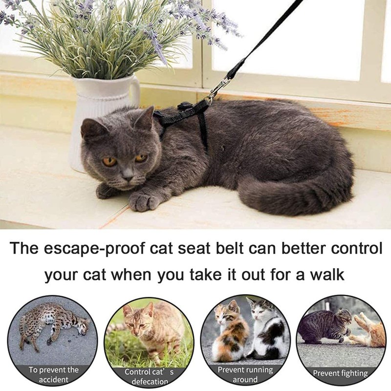 Widream 2 x Cat Harness with Lead and Collars, Escape