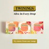 Twinings Peach & Orange Tea Bags, 20 Count (Pack of