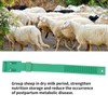 10Pcs Goat Collar Sheep Identification Bands Livestock Marking Ring Farming