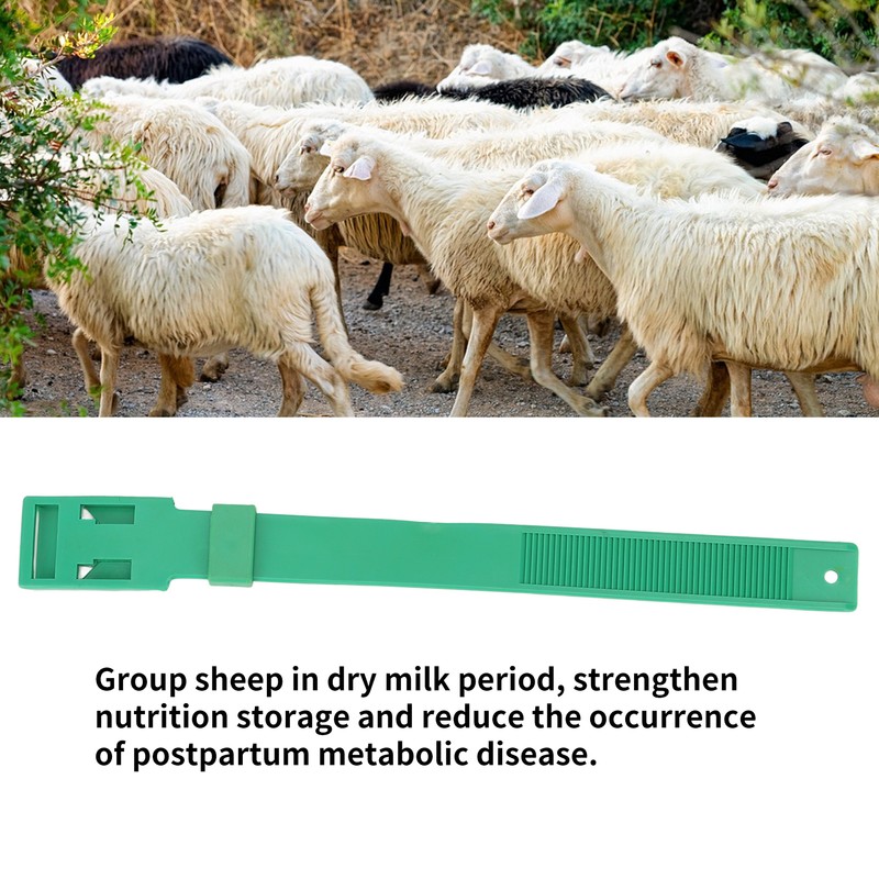 10Pcs Goat Collar Sheep Identification Bands Livestock Marking Ring Farming