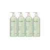 Laquevert Anytime Peeling 500ml 4 pumps, lids, (random) / 라끄베르