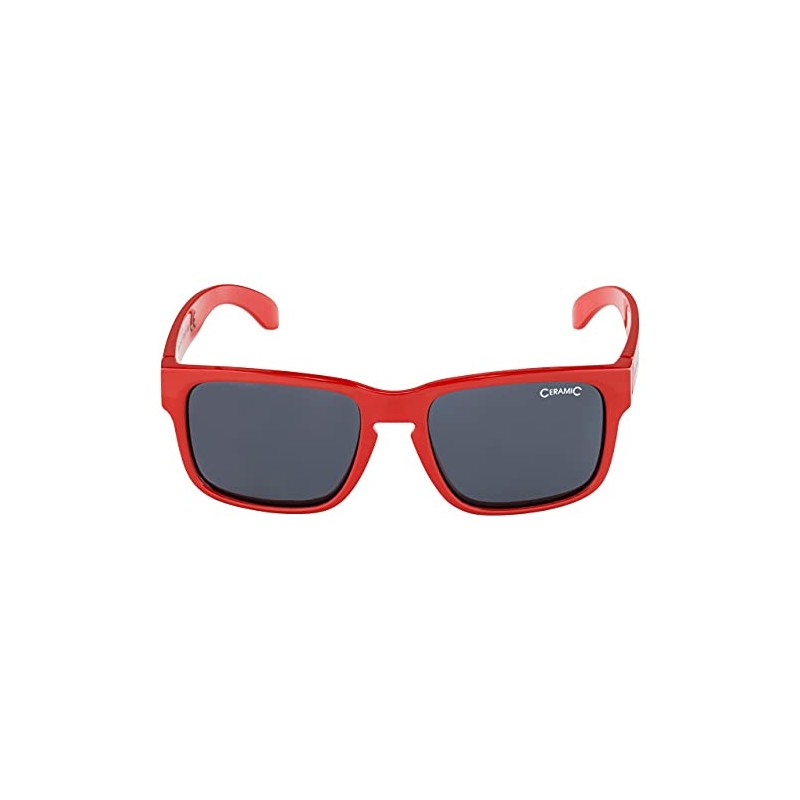 ALPINA MITZO Distortion-Free and Shatterproof Sunglasses with 100% UV Protection