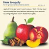 True Organic Fruit & Nut Food – Organic Fertilizer for