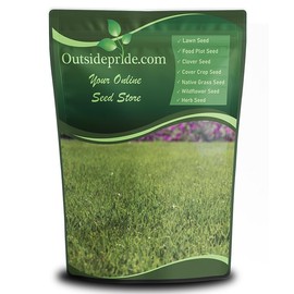 Outsidepride Supreme Kentucky Bluegrass Seed Mix - 25 lbs Cold Tolerant, Fine-Textured w/OptiGrowth Coating for Seed Enhancement, Ideal for Home, Parks, & Athletic Fields