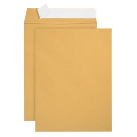 100 9 X 12 Self Seal Golden Brown Kraft Catalog Envelopes - Designed for Secure Mailing - Oversize Strong Peel and Seal Flap with 28 Pound Kraft Paper- 100 Envelopes