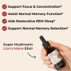 Super Mushroom Lion's Mane Elixir - Antioxidant, Alcohol Free, Sugar