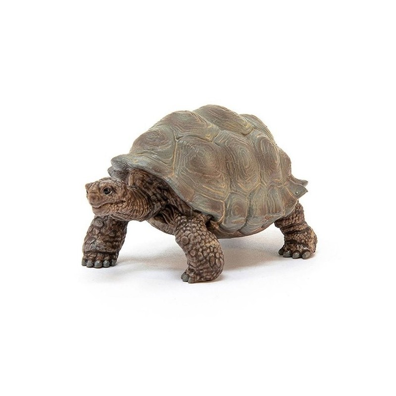 giant turtle / 자이언트 거북