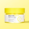 Holika Holika Gold Kiwi Vita C Plus Brightening Spot Care