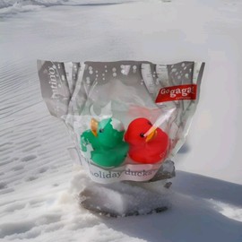 Target Rubber Ducks 2 Pack Target X-MAS Exclusive Age 0m+. Green & Red Bathtub Fun