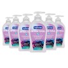 Softsoap Jabón de manos líquido antibacteriano, té blanco y fusión