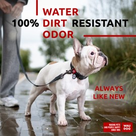 Waterproof Dog Leash - Anti-Slip Dog Leash for Large Small and Medium Breeds - Heavy Duty - Water- and Dirt-Resistant - Boy & Girl Dogs