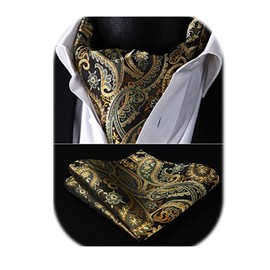 HISDERN Men's Gold Cravats Paisley Cravat and Handkerchief Elegant Floral Ascot Tie & Pocket Square Set for Wedding Party
