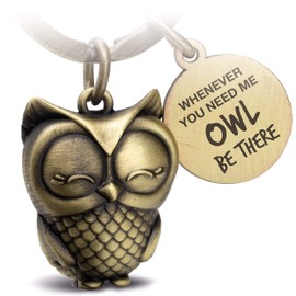 FABACH Owl Key Ring (Customisable) - Cute Owl Keyring - Friendship and Love Lucky Charm Made of Metal for Women - Owl be There for You Bronze., Antique bronze