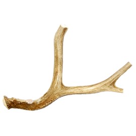Big Dog Antler Chews Brand - Extra Large Whole Deer Antler Dog Chew - for Large Dogs and Puppies