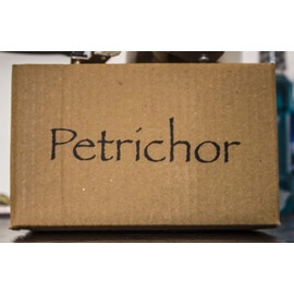 Petrichor Fengshui Vastu Original Clear Crystal Turtle for Peace & Prosperity (Medium - 4.5 inches)