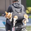Backpack Carrier for Large Dog Full Body Dog Sling with