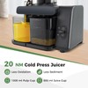 CHEFJOY Cold Press Juicer, 5.3" Wide Feed Chute Easy to