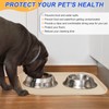 SMILOOL Silicone Pet Feeding Mat with Raised Edge for Food