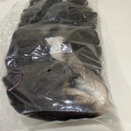 Fashion Hair Chocolate Brown HD Lace Front Wig Women (20 inch, Brown)