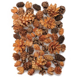 Daichi Farm DO024884-000 Dried Flowers, Cone Assortment, Natural, Approx. L 0.4 - 1.8 inches (1.0 - 4.5 cm), 3.5 oz (100 g)