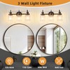 AMRUIPO 3 Lights Bathroom Vanity Light, Oil Rubbed Bronze Bathroom