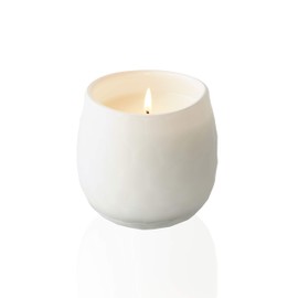 Nordic Glacier Winds | Luxury Scented Candle | 16 oz Coconut Soy Blend | Matte White Art Glass